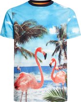 WE Fashion Jongens T-shirt met stranddessin