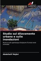 Studio sul dilavamento urbano e sulle inondazioni