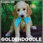 Goldendoodle Calendar 2021