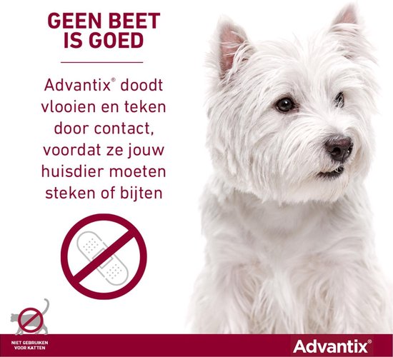 Bayer Advantix Vlooien & Teken Pipetten - Hond 10 tot 25kg - 6 stuks - Advantix