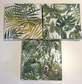 servetten groen palm /planten set van 3 stuks . 20 servetten/pak