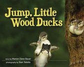 Two Wood Ducks Sitting in a Tree