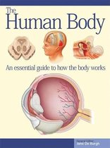 The Human Body