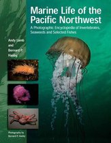 Marine Life of the Pacific Northwest