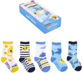 Babyshark - kraamcadeau - baby / peuter - sokken - 5 paar in Baby Shark cadeaubox- maat 19/20
