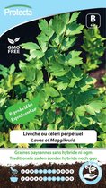 Protecta Kruiden zaden: Lavas of Maggikruid