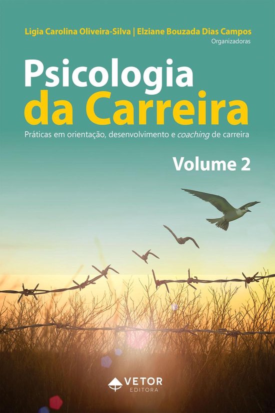 Psicologia da carreira Vol.2 - cover