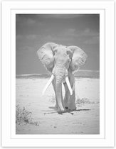 Foto in frame ,  Wandelende Olifant , 3 maten , Zwart wit , wanddecoratie , Premium print