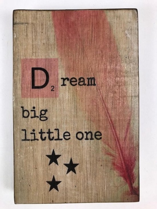 Tekstblok 10x15 2 cm diik D Dream meisje