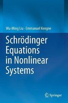 Schroedinger Equations in Nonlinear Systems