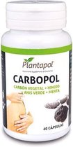 Planta Pol Carbopol 60 Comp