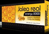 Tegor Energy 2000 Jalea Real 20 Amp