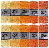 Lammy yarns Rio katoen garen pakket - geel oranje kleuren - 10 bollen