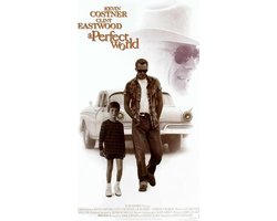 VHS Video | A Perfect World