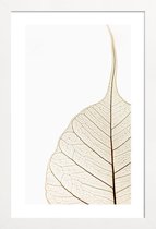 JUNIQE - Poster in houten lijst Translucent Leaf -60x90 /Wit