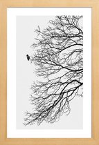 JUNIQE - Poster met houten lijst Winter Bird -13x18 /Grijs & Wit