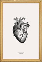 JUNIQE - Poster met houten lijst Menselijk hart -30x45 /Grijs & Ivoor