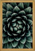 JUNIQE - Poster met houten lijst Cactus hart -40x60 /Groen