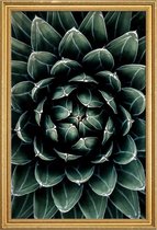 JUNIQE - Poster met houten lijst Cactus hart -60x90 /Groen