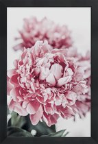 JUNIQE - Poster met houten lijst Peony in Focus -13x18 /Grijs & Roze