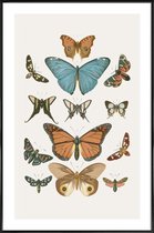 JUNIQE - Poster in kunststof lijst Vlinders -30x45 /Grijs & Ivoor