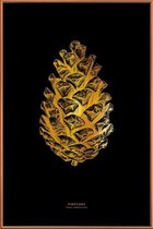 JUNIQE - Poster met kunststof lijst Pinecone gouden -40x60 /Goud &