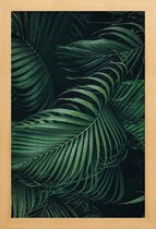 JUNIQE - Poster met houten lijst Feathered Palm -13x18 /Groen