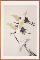 JUNIQE - Poster met kunststof lijst Vliegende kraanvogels -30x45