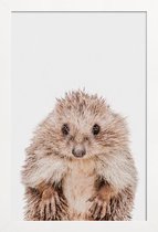 JUNIQE - Poster in houten lijst Hedgehog -40x60 /Bruin