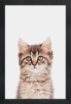 JUNIQE - Poster in houten lijst Kitten II -20x30 /Bruin & Grijs