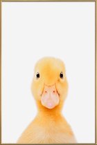 JUNIQE - Poster met kunststof lijst Duckling -13x18 /Geel