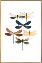 JUNIQE - Poster met kunststof lijst Libellen -30x45 /Blauw & Bruin