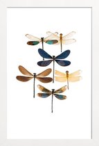 JUNIQE - Poster in houten lijst Libellen -20x30 /Blauw & Bruin