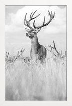 JUNIQE - Poster met houten lijst Stag Pride by Monika S. Jakubowska