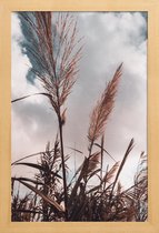 JUNIQE - Poster in houten lijst Grass II -20x30 /Bruin & Wit