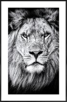 JUNIQE - Poster in kunststof lijst Leeuwenfoto -30x45 /Wit & Zwart