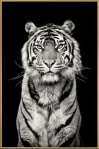 JUNIQE - Poster met kunststof lijst Head of the Pack -60x90 /Grijs &