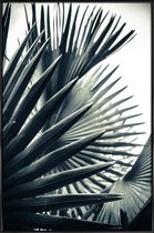 JUNIQE - Poster in kunststof lijst Palm Shade 2 -60x90 /Grijs & Groen