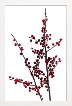 JUNIQE - Poster in houten lijst Red Berries 2 -40x60 /Rood & Wit