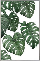 JUNIQE - Poster met kunststof lijst Monstera plant -40x60 /Groen & Wit