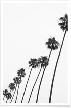 JUNIQE - Poster Cali Palms -60x90 /Grijs & Wit