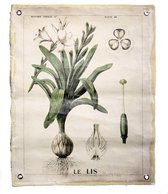 Wandplaat linnen Botanisch 72x0,2x90cm