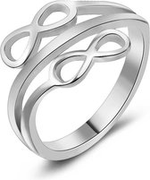 Twice As Nice Ring in edelstaal, 2 infinities  60