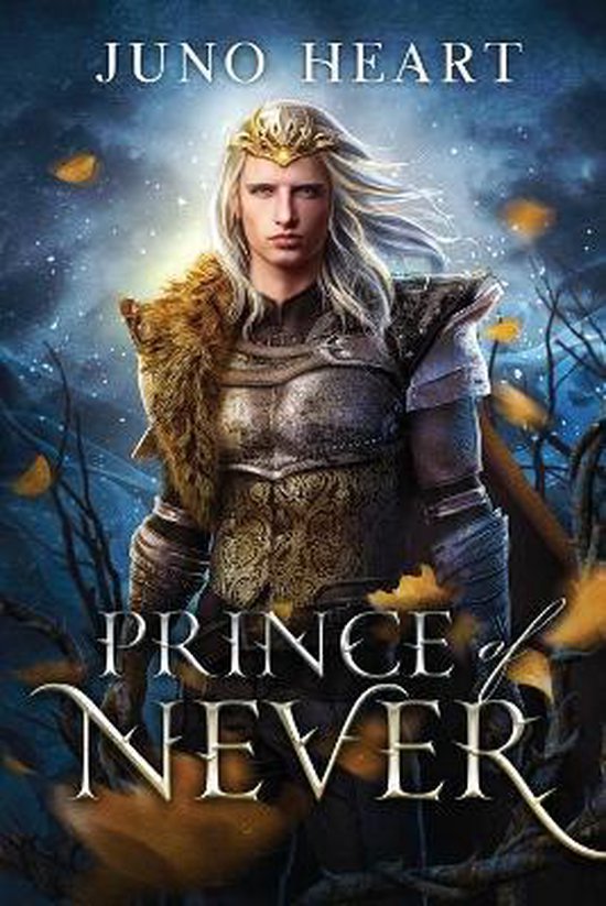 Black Blood Fae- Prince of Never - cover