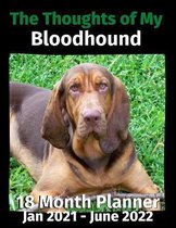The Thoughts of My Bloodhound