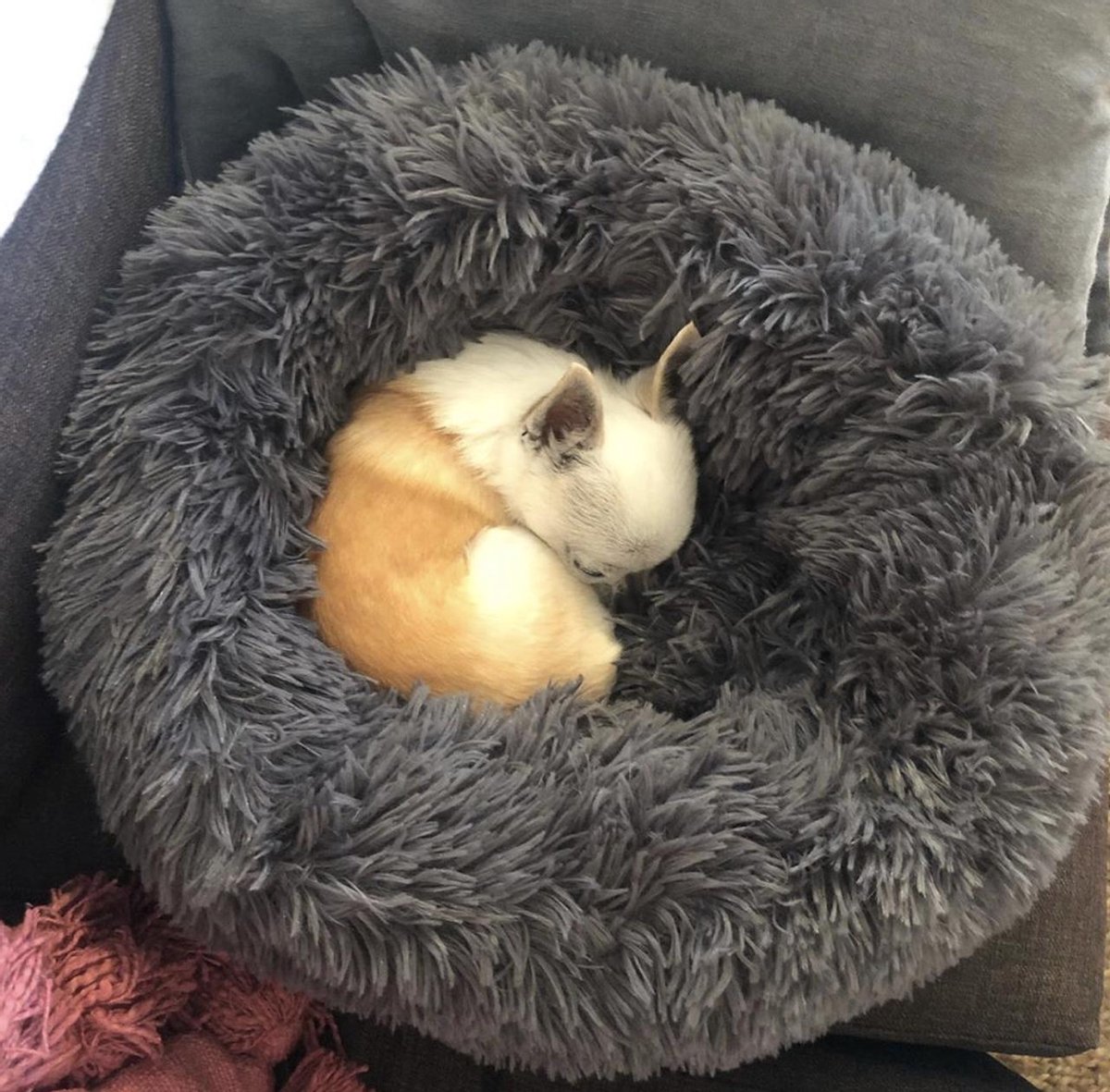 RELAX KUSSEN Hond & Kat - Superzacht - antislip - Pluche rond kussen 40cm - groengrijze antracietkleur knuffelmand