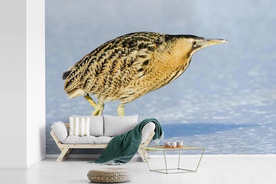 Papier peint photo vinyle - Un butor marche sur la glace largeur 330 cm x hauteur 220 cm - Tirage photo sur papier peint (disponible en 7 tailles)