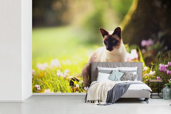 Chat siamois parmi les fleurs roses papier peint photo vinyle 420x280 cm - Tirage photo sur papier peint