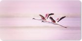 Muismat Flamingo  - Twee flamingo's tegen een roze lucht muismat rubber - 80x40 cm - Muismat met foto