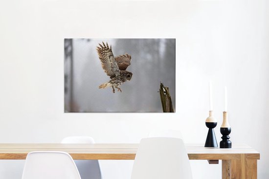 Tawny Owl atterrira sur un poteau Toile 90x60 cm - Tirage photo sur toile (Décoration murale salon / chambre)